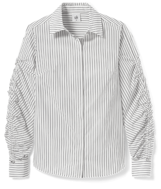 Linear Shirt in Black and White Stripe